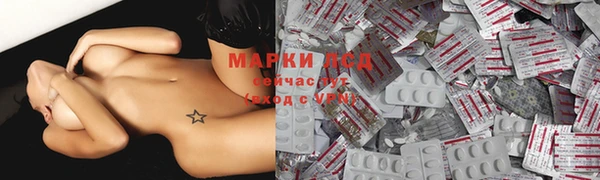 индика Новый Уренгой