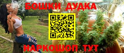 стафф Бийск