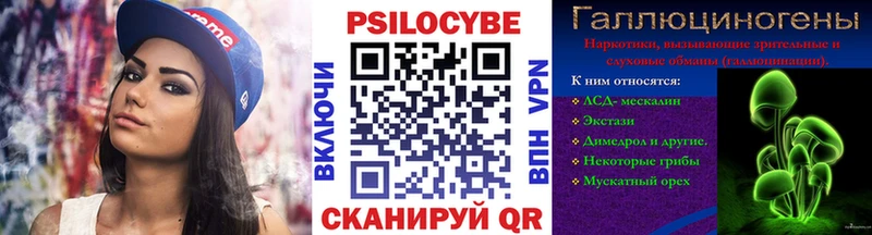 Псилоцибиновые грибы мухоморы  ссылка на мегу tor  Петропавловск-Камчатский 