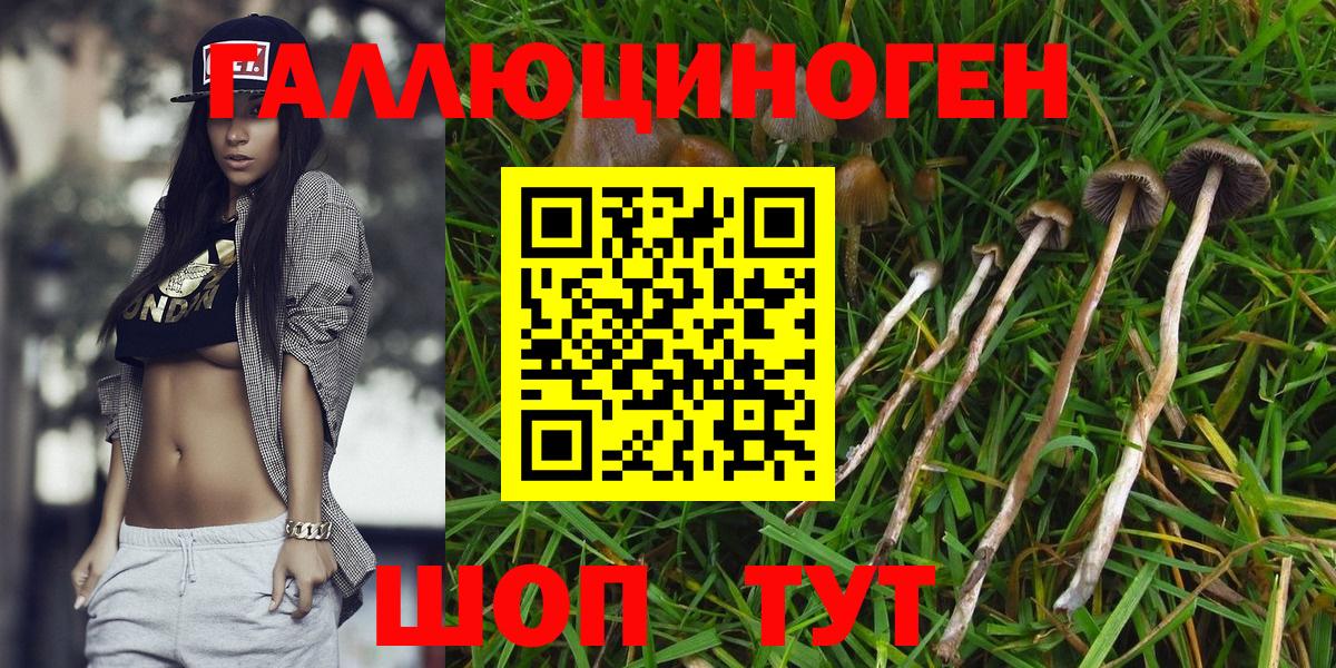 Псилоцибиновые грибы MAGIC MUSHROOMS  Вход с VPN  Петропавловск-Камчатский 